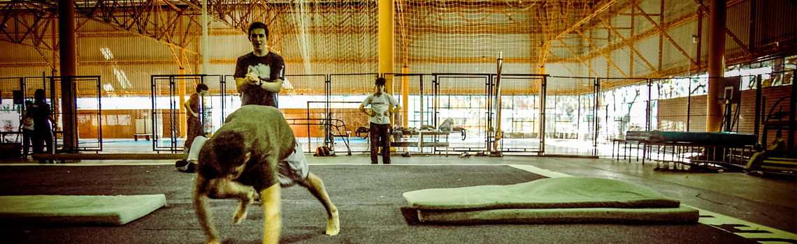 Aulas De Parkour Indoor - Retorno Das Aulas Na PUC - Ponto B Parkour